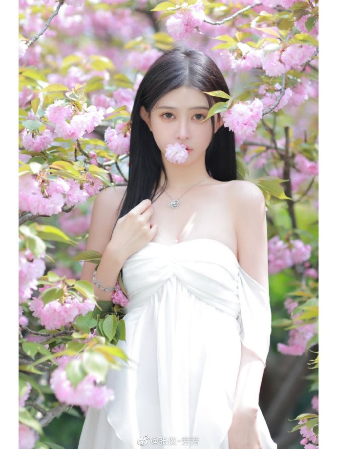 黑暗荣耀第二季 封面